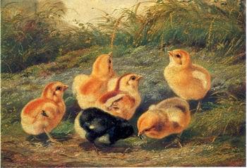 unknow artist chickens 196 Sweden oil painting art